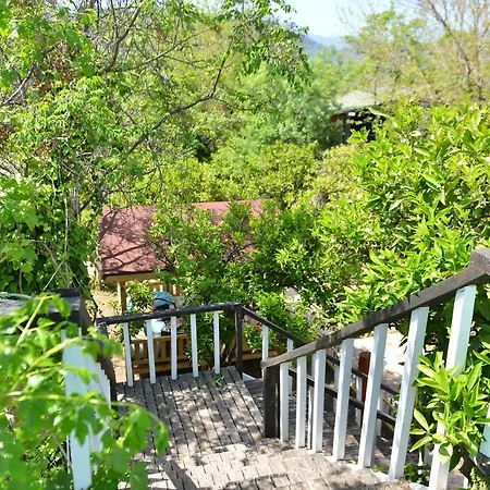 Homestay Tahtavilla