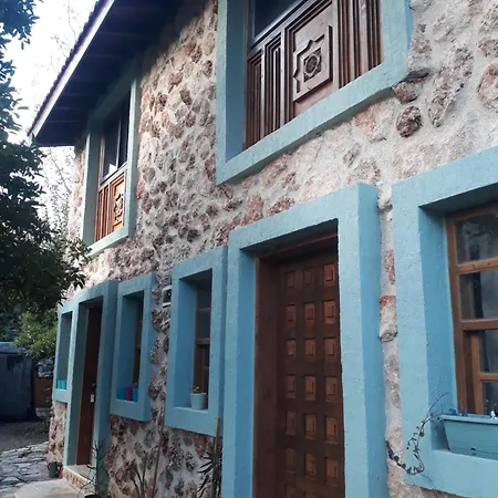 Tahtavilla Homestay